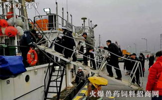 2019開門紅 橫沙國際漁港喜迎年度首艘外輪，助力畜牧漁業飼料銷售