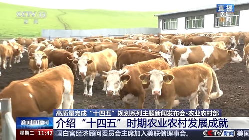 十四五時(shí)期畜牧漁業(yè)飼料銷售 三大關(guān)鍵詞看變革與成效